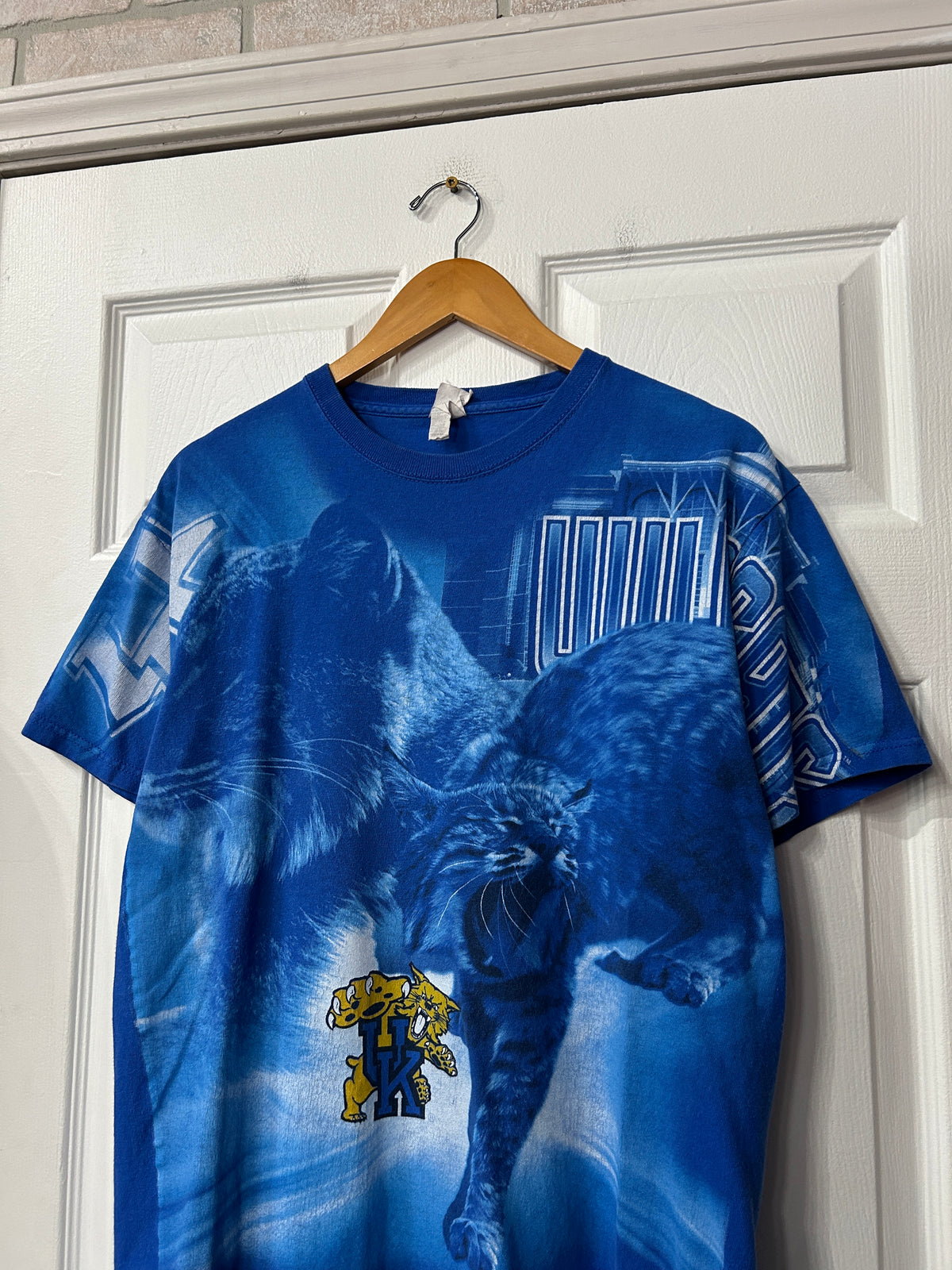 Y2k Kentucky Wildcats AOP Tee L