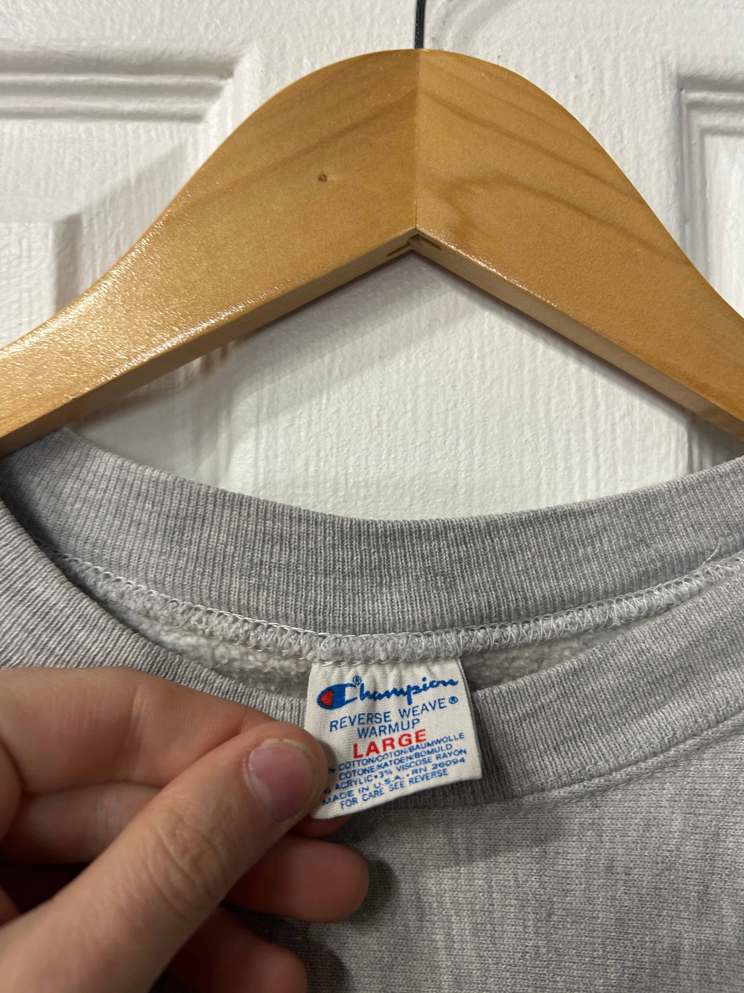 Vintage Michigan Champion Crewneck L