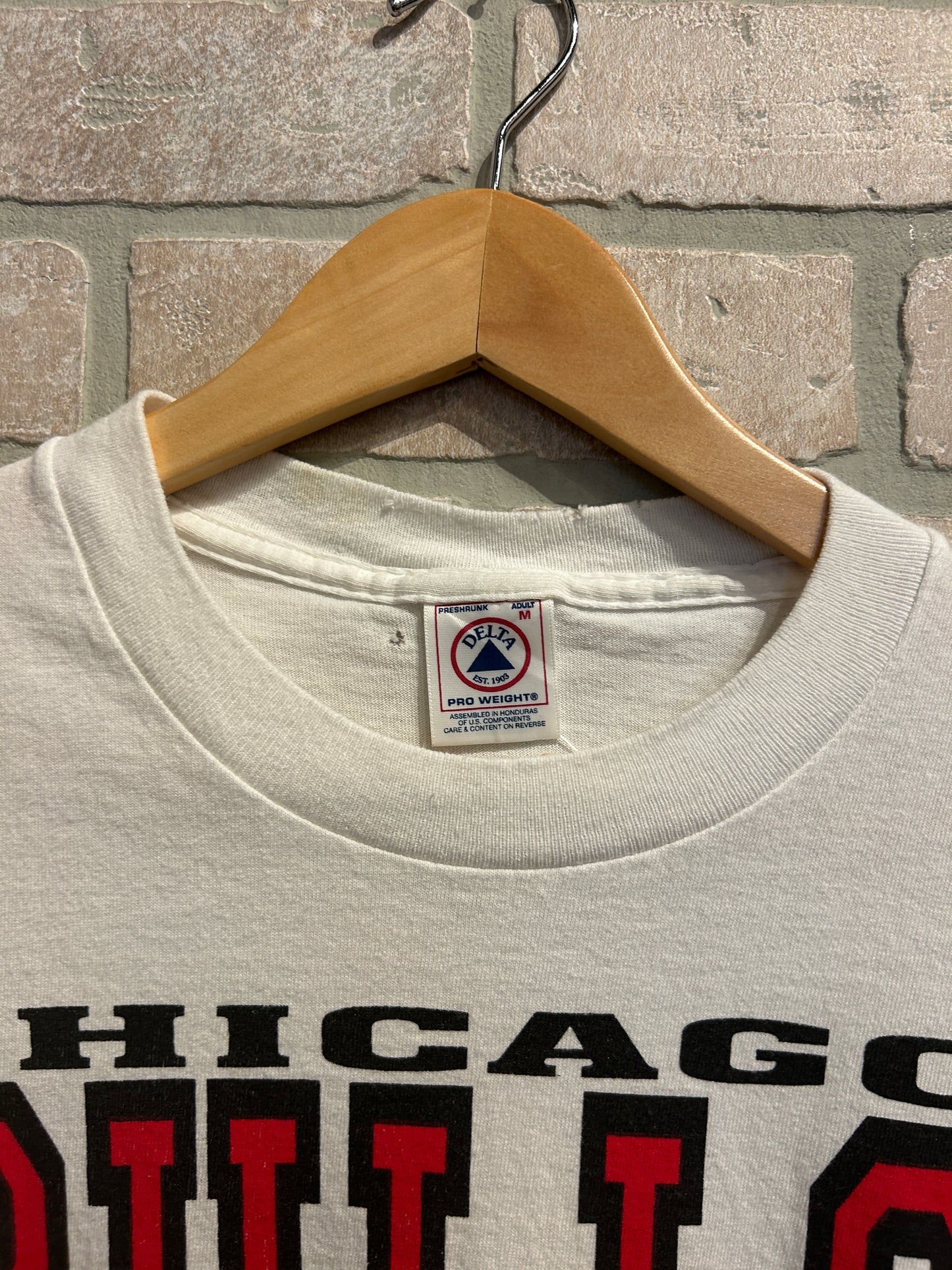 Vintage Bulls Taz Tee M