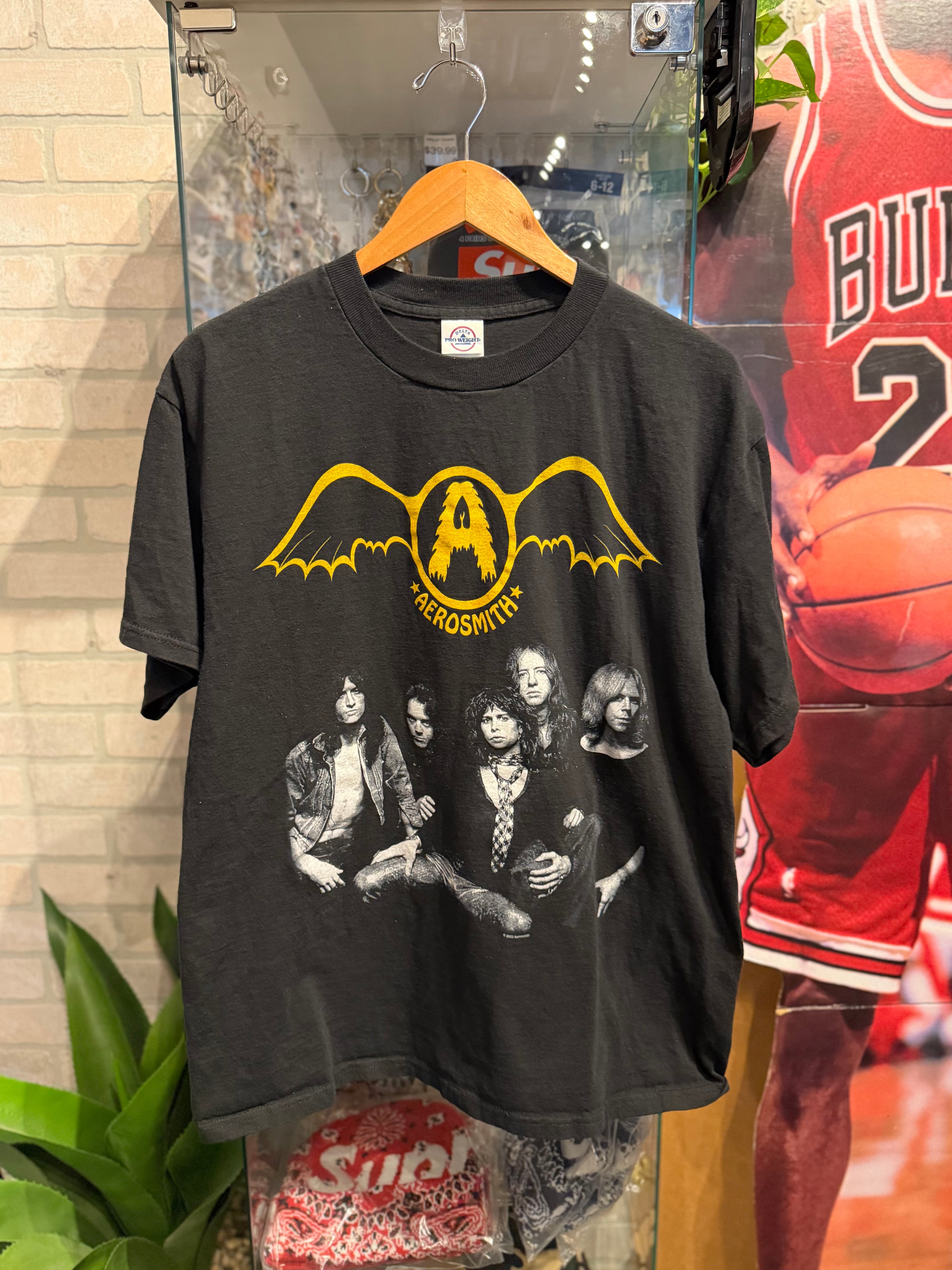 Vintage Aerosmith Band Tee L
