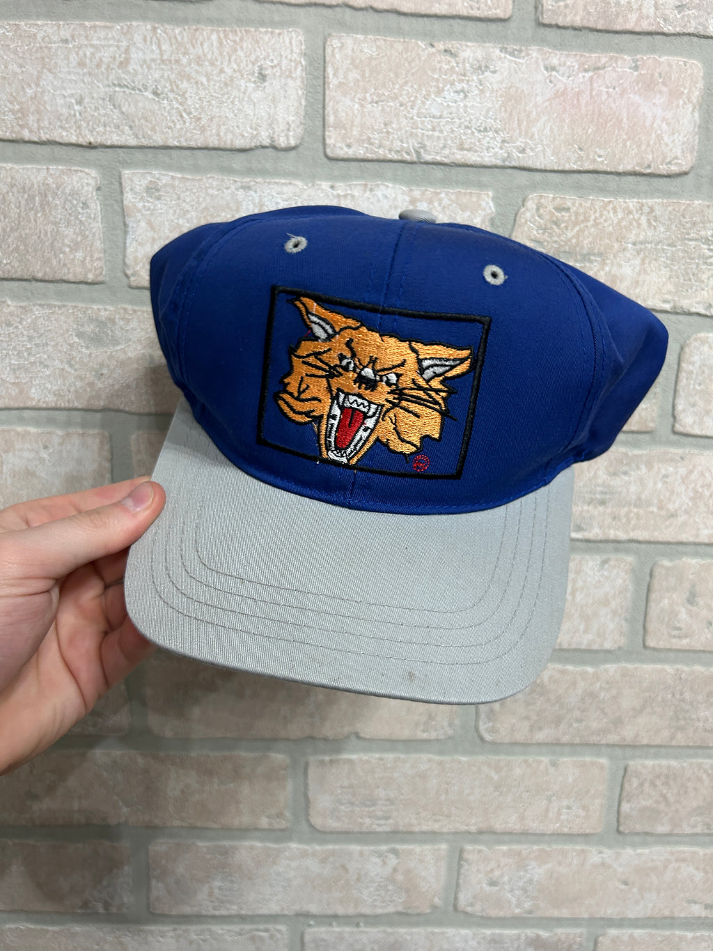 Vintage Kentucky Wildcats Hat