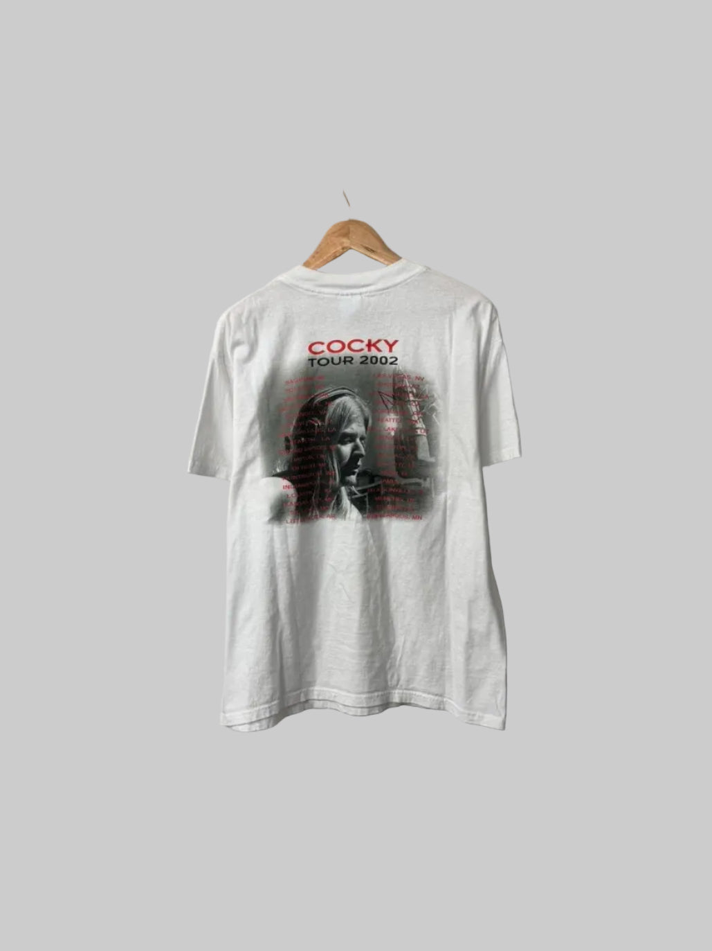 Vintage Kid Rock Tee L