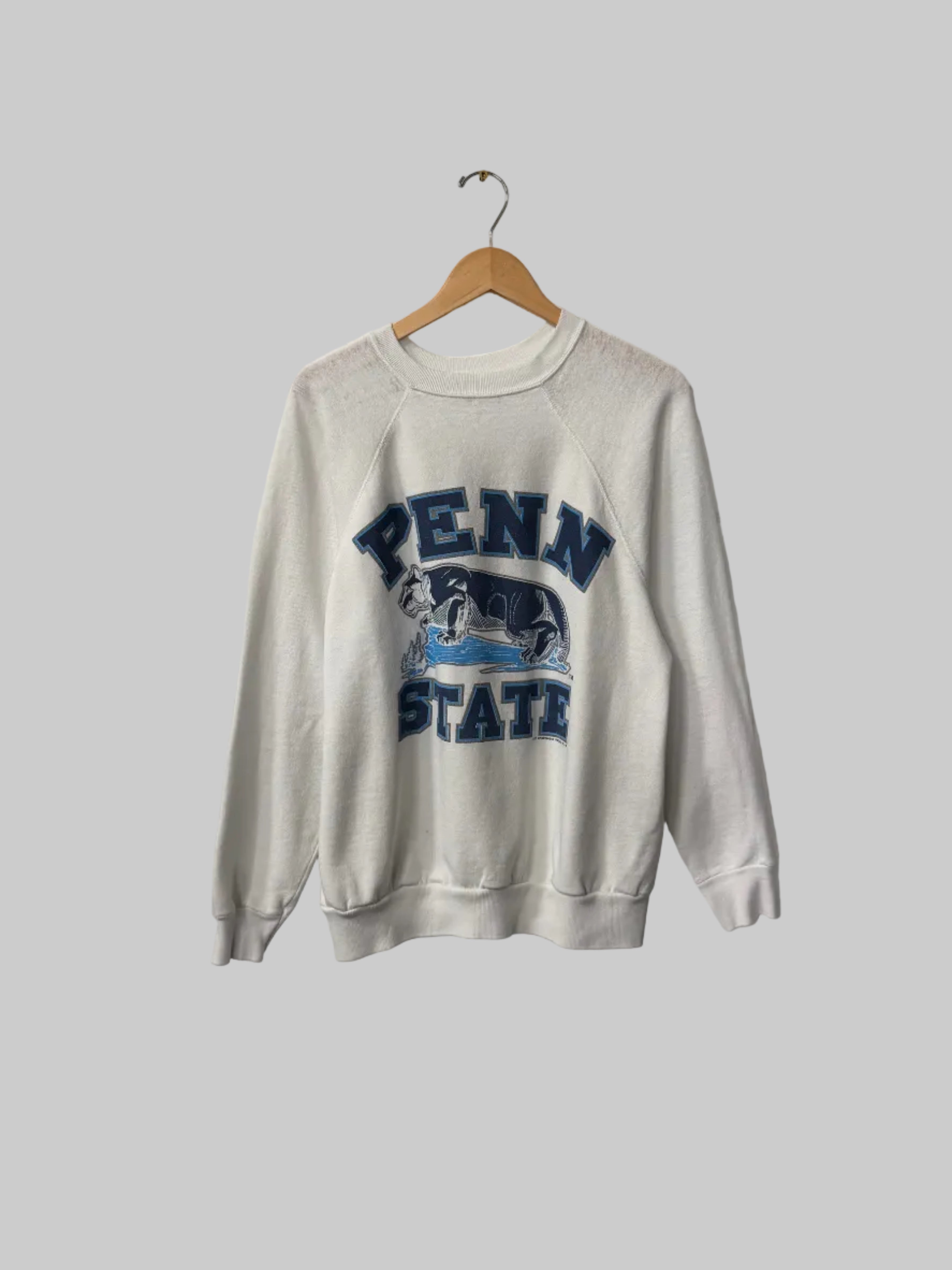 Vintage Penn State Crewneck M