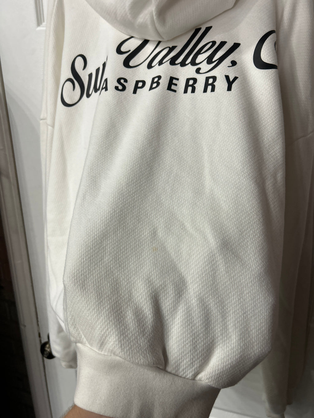 GvGallery/Raspberry Hills Hoodie L