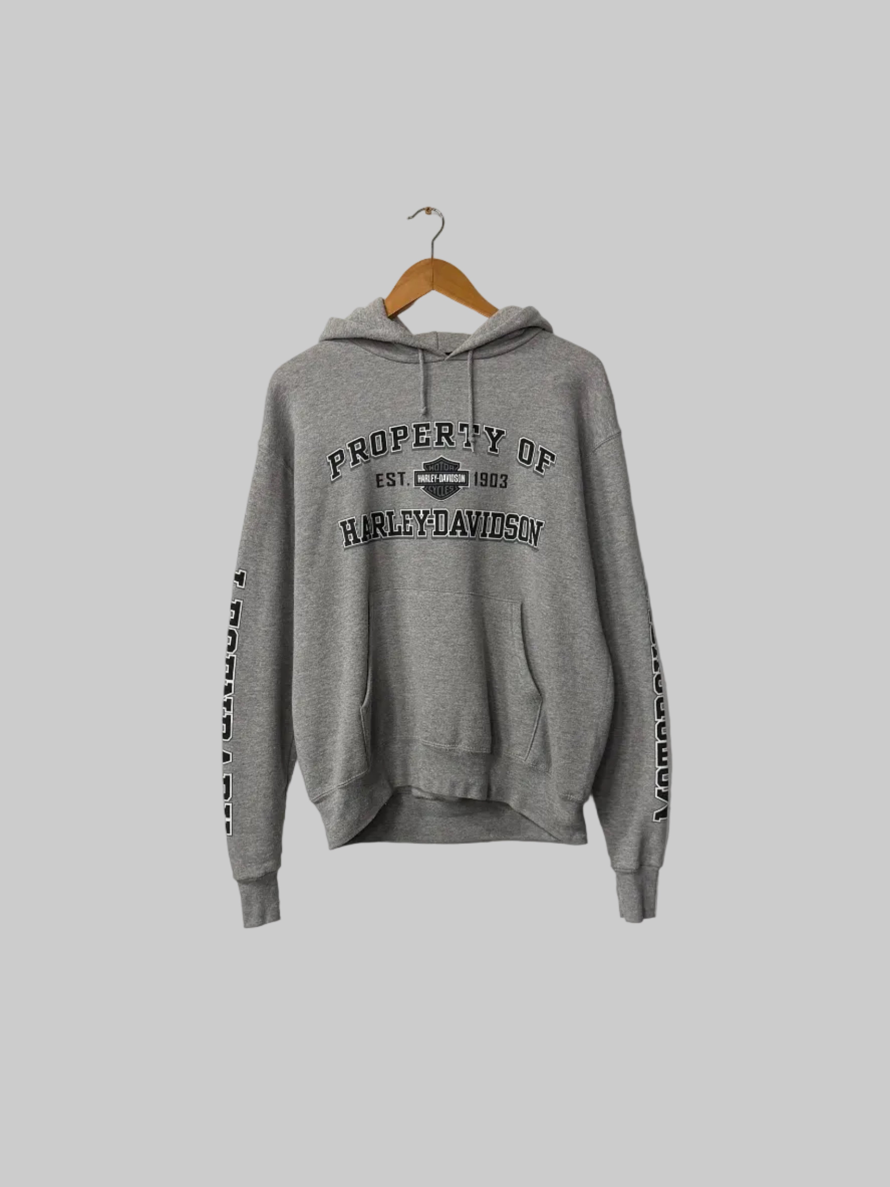Vintage Harley Davidson hoodie S