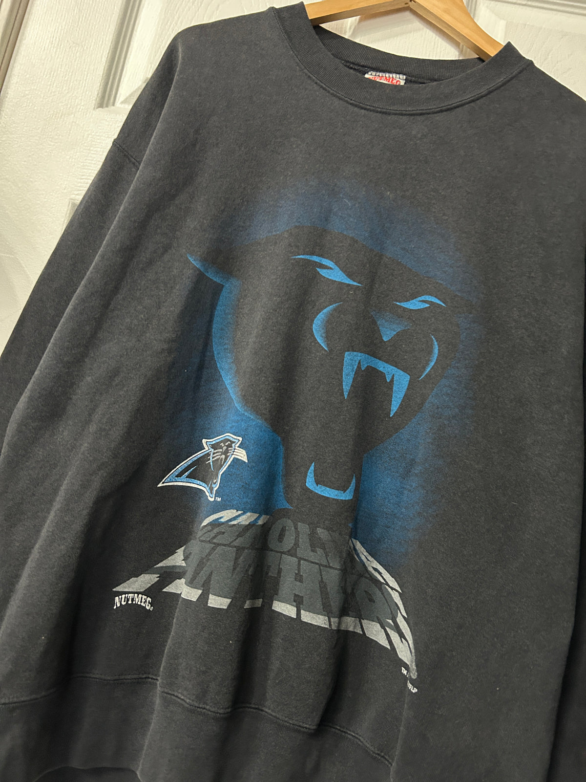 Vintage Carolina Panthers Crewneck L