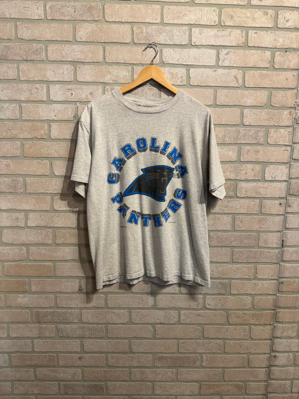 Vintage Carolina Panthers Tee XL