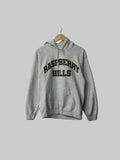 Gvgallery/Raspberry Hills Hoodie S