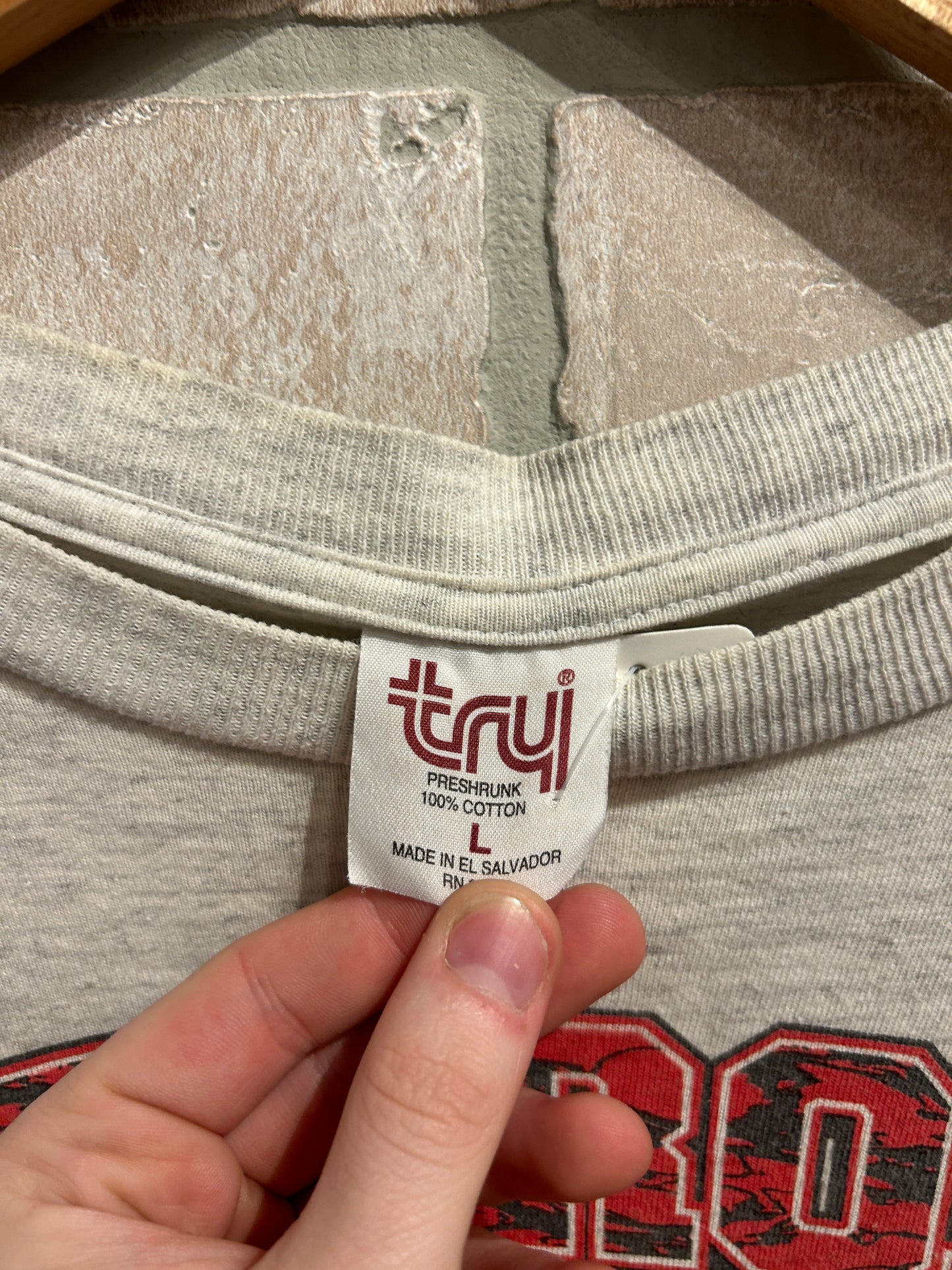 Vintage Detroit Wings Tee L