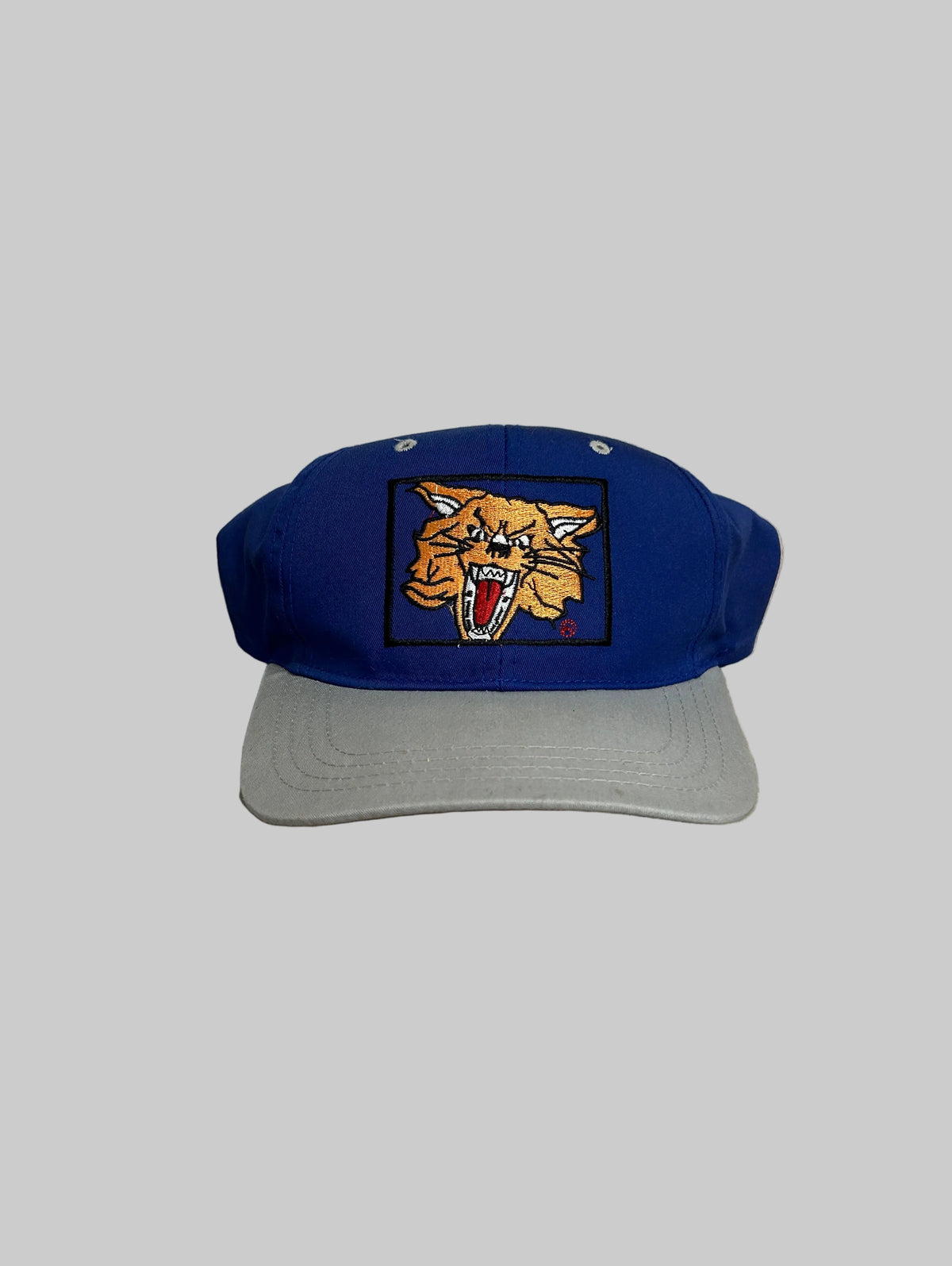Vintage Kentucky Wildcats Hat