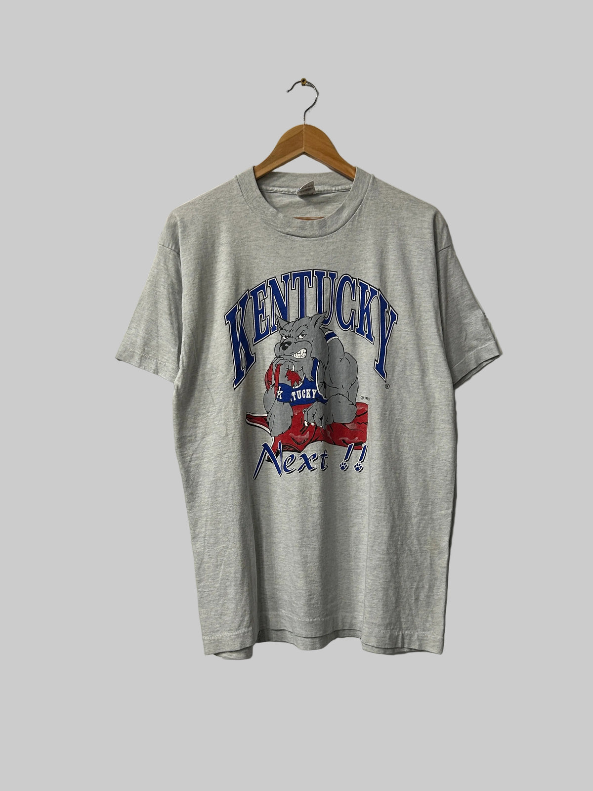 Vintage Kentucky Wildcats Tee L